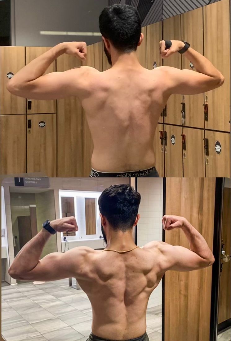 Client transformation — back muscle development